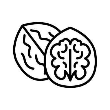 Ceviz ana hatları simgesi, beyaz üzerine izole edilmiş. Organik yiyecekler. Vektör illüstrasyonu.