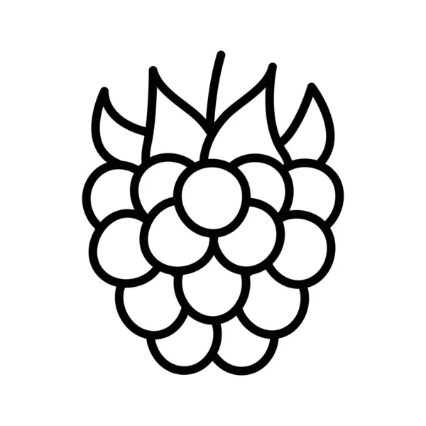 Raspberry Icon Pictogram Isolated White Background Vector Illustration — Wektor stockowy