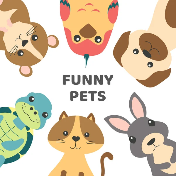 オウム ハムスター ウサギとカメ フラットスタイルで国内動物や鳥と白で隔離された面白い漫画かわいいペットのベクトルイラスト — ストックベクタ