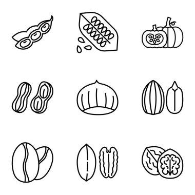 Fındık ve Tohum ikonu seti. Piktogram beyaz arka planda izole edildi. Vektör illüstrasyonu.