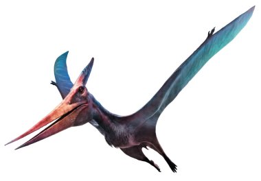 Pteranodon uçan dinozor 3 boyutlu illüstrasyon