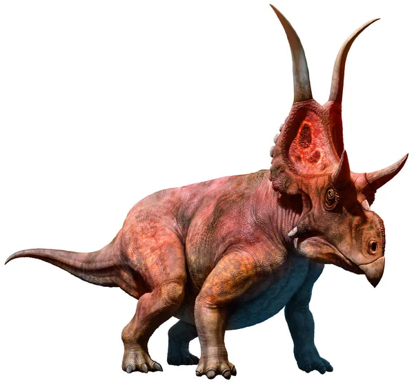 Diabloceratops Období Křídy Ilustrace — Stock fotografie