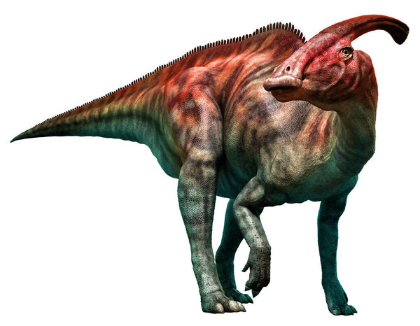Parasaurolophus walkeri standing 3D illustration
