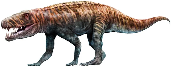 Batrachotomus Triassic Era Illustration — Foto Stock