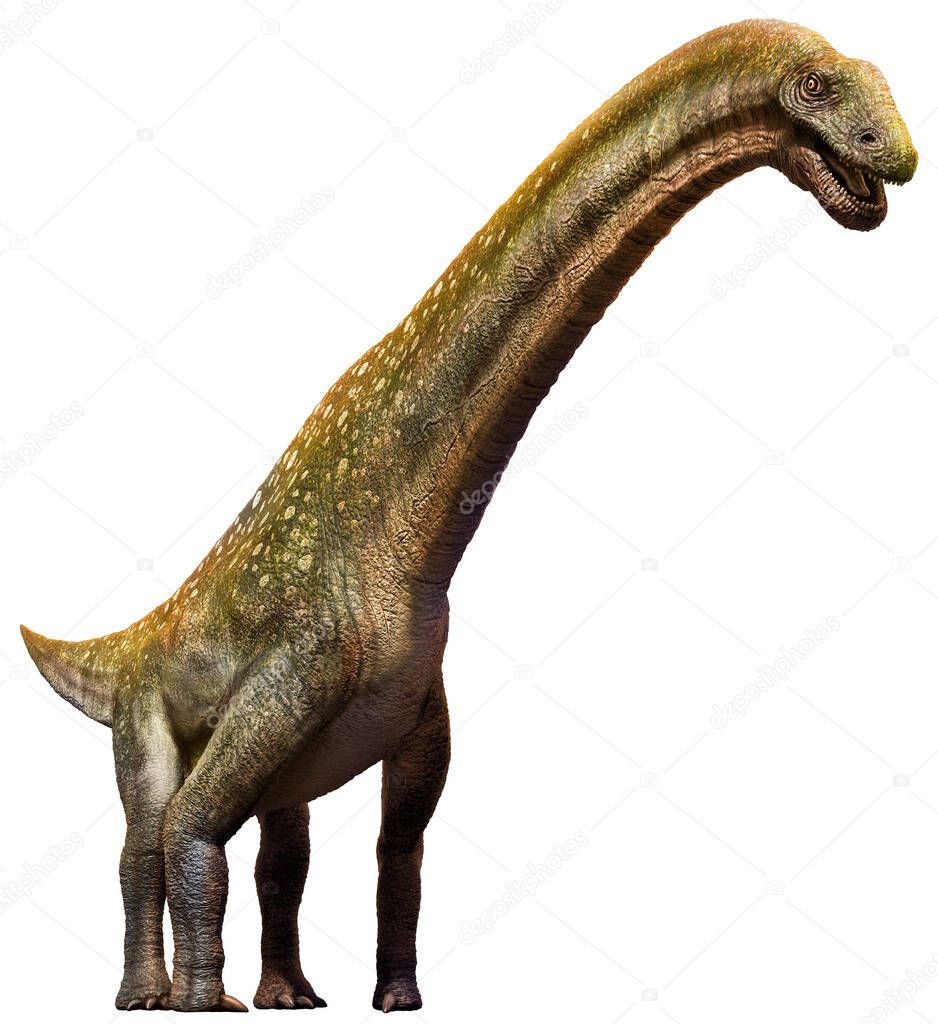Titanosaurus from the Cretaceous era 3D illustration