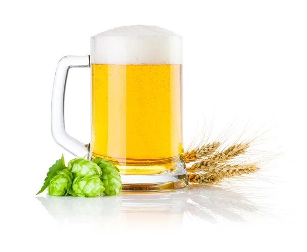 Caneca de cerveja fresca com lúpulo verde e orelhas de cevada isolada em um — Fotografia de Stock