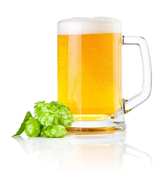 Tazza di birra fresca con luppolo verde isolato su uno sfondo bianco — Foto Stock