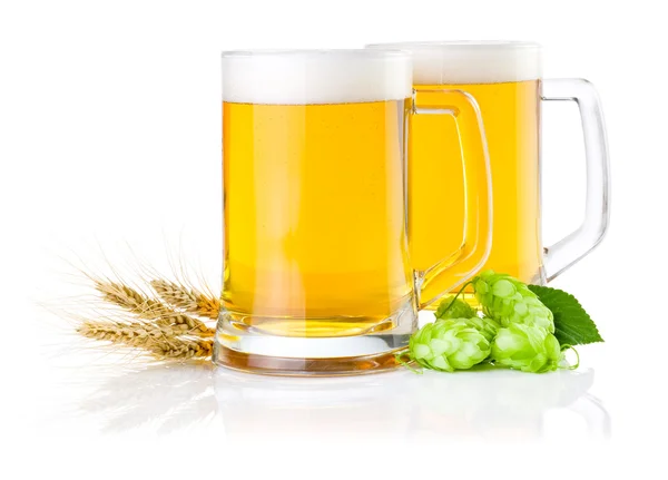 Два бокала свежего пива с зеленым хмелем и ячменными ушами. — стоковое фото
