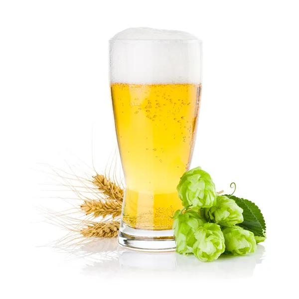 Glas vers bier met groene hop en oren van gerst geïsoleerd — Stockfoto