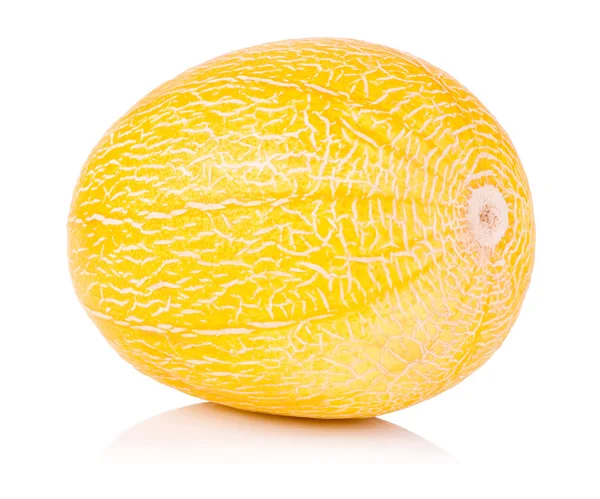 Jedno całe, świeże spadzi melon na białym tle na białym tle — Zdjęcie stockowe