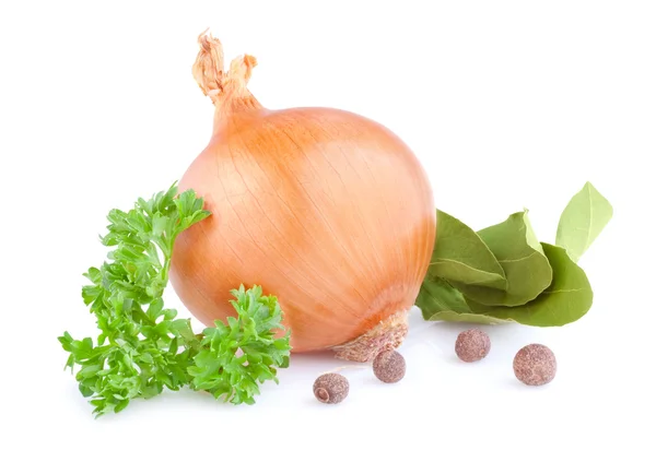 Verse gouden uien, Spaanse peper, peterselie en laurier geïsoleerd op w — Stockfoto