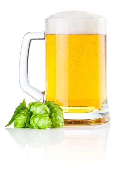 Mug fresh beer with Green hops isolated on a white background — Stock Photo, Image