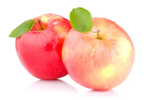 Two juicy Red apples with leaves and drops of water isolated on — Stock Photo, Image