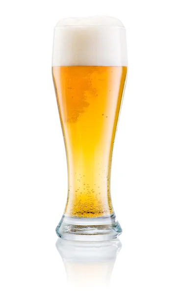 Copo de cerveja fresca com tampa de espuma isolada em um backgro branco — Fotografia de Stock