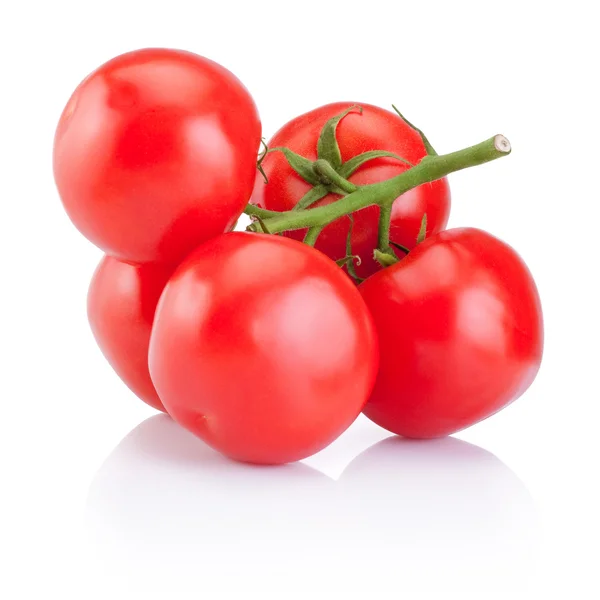 Branche de tomates rouges isolées sur fond blanc — Photo