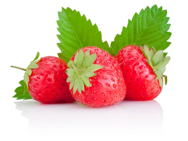 Trois fraises rouges mûres et une feuille isolée sur fond blanc — Photo