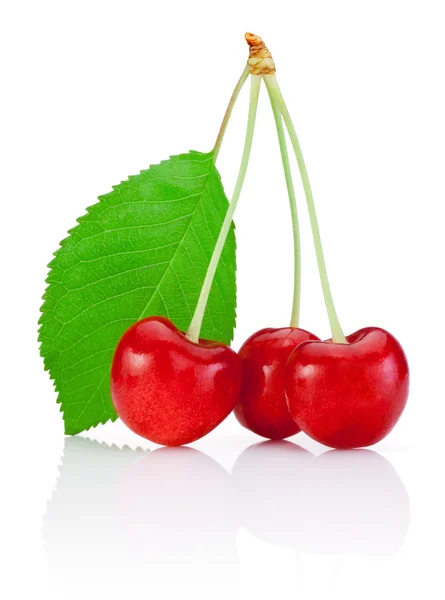 Three Cherry with stem and a leaf isolated on white background — Stock Photo, Image