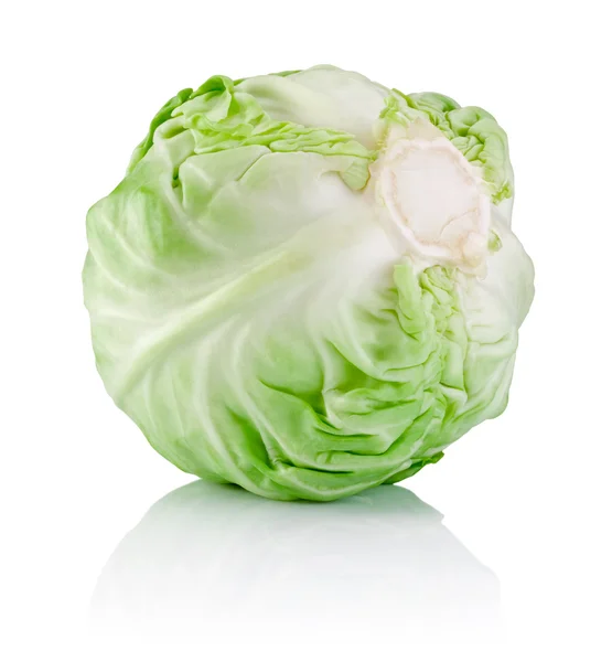 Head Cabbage isolated on white background — Stock Photo, Image