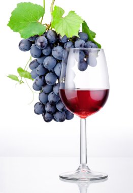 kadeh kırmızı şarap ve üzüm yaprakları üzerinde izole ile demet bir