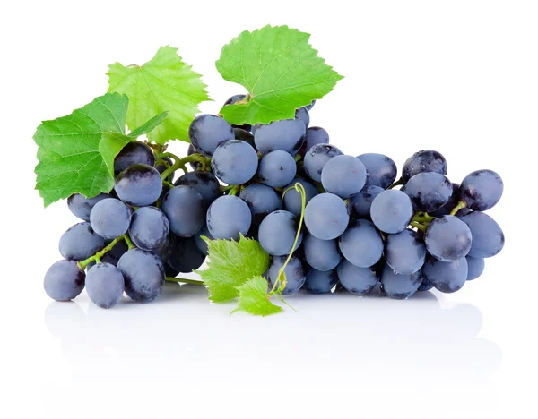 Ramo fresco de uvas con hojas aisladas sobre un fondo blanco —  Fotos de Stock