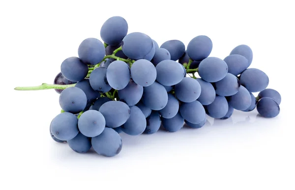 Fresh blue grapes isolated on white background — Stock Photo, Image