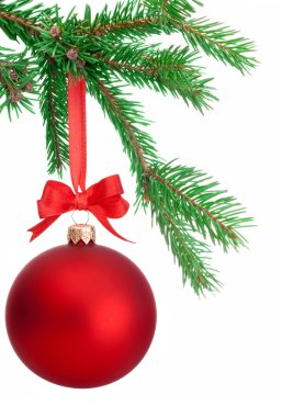 Noel top beyaz ba bir köknar ağacı dalı göl kenarında asılı