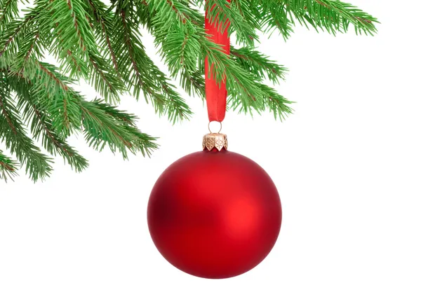 Christmas red ball hanging on a fir tree branch Isolated on whit — Stock Photo, Image