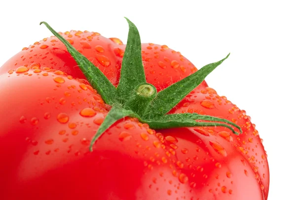 Färsk tomat närbild med gröna blad och droppar vatten isolera — Stockfoto