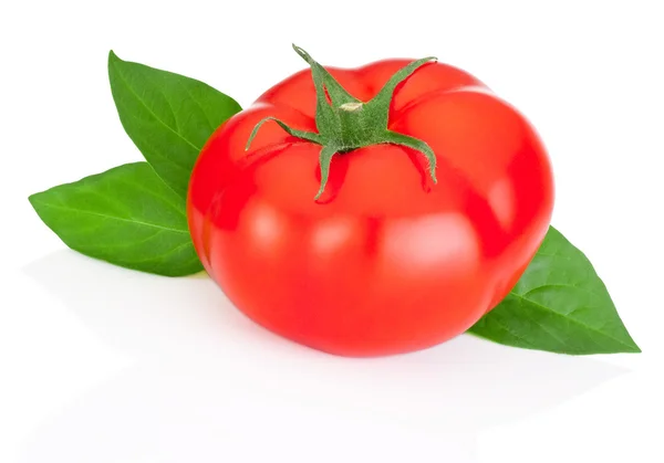 Solo tomate rojo y hojas verdes aisladas sobre un fondo blanco — Foto de Stock