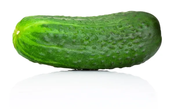 Fresh cucumber isolated on white background — Stock Photo, Image
