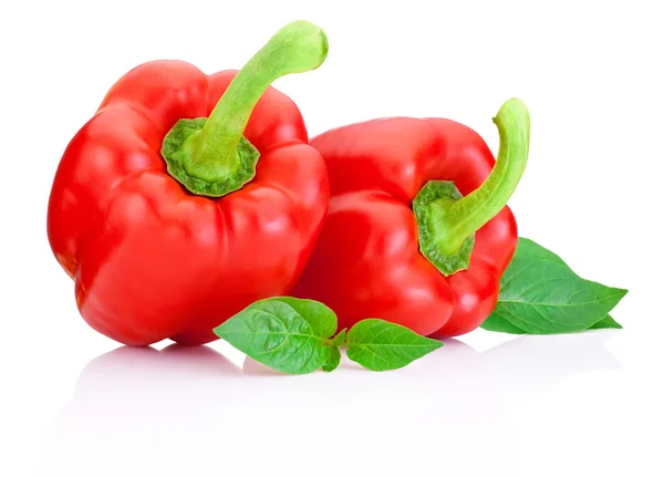 Due peperoni rossi dolci con foglie verdi isolate su un dorso bianco — Foto Stock