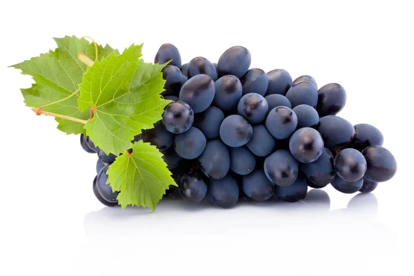 Fresh Blue Grapes Leaves Isolated White Background — Stock Photo, Image