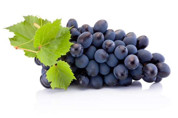 Fresh of blue grapes with leaves isolated on a white background