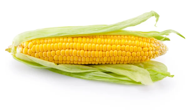 Ucho Kukurydzy Białym Tle Białym Tle — Zdjęcie stockowe