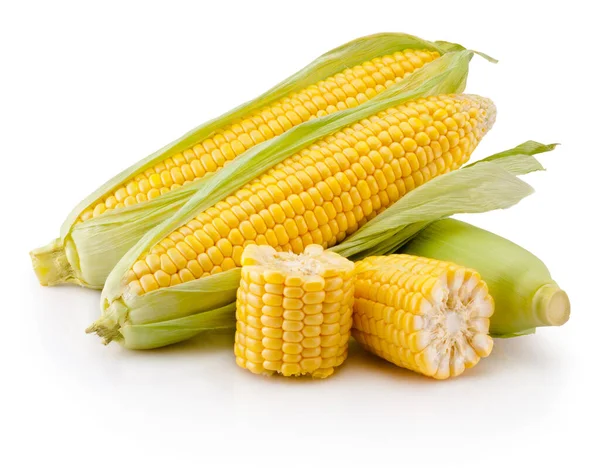 Corn Cobs Kernels Broken Isolated White Background — Stock Photo, Image