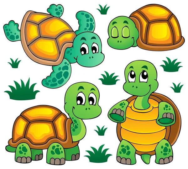 Image with turtle theme 1 — Stock Vector