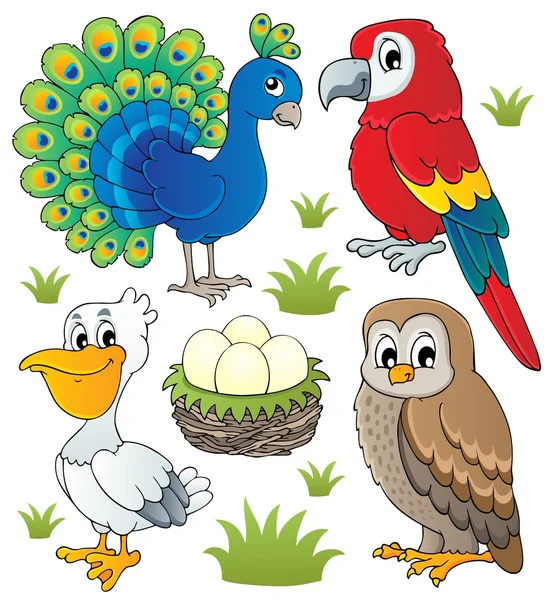Különböző madarak téma-szett 2 — Stock Vector