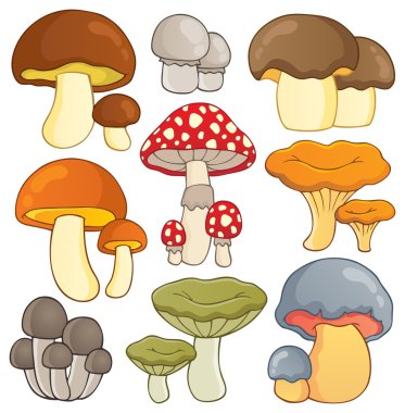 Mushroom theme collection 1 clipart
