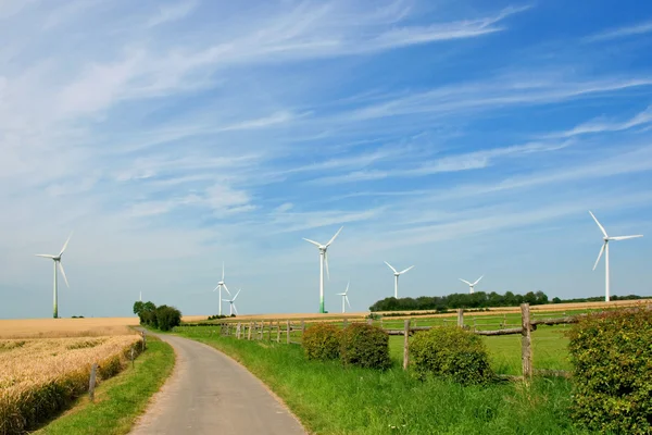 Weg durch die Wiese mit Windrädern zur Stromerzeugung — Stockfoto