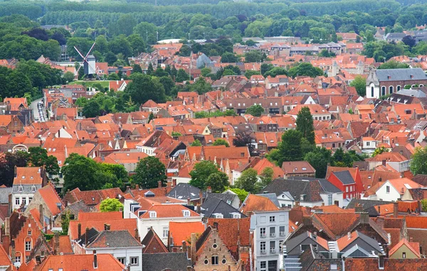 Telhados de casas flamengas e moinho de vento em Brugge, Bélgica — Fotografia de Stock