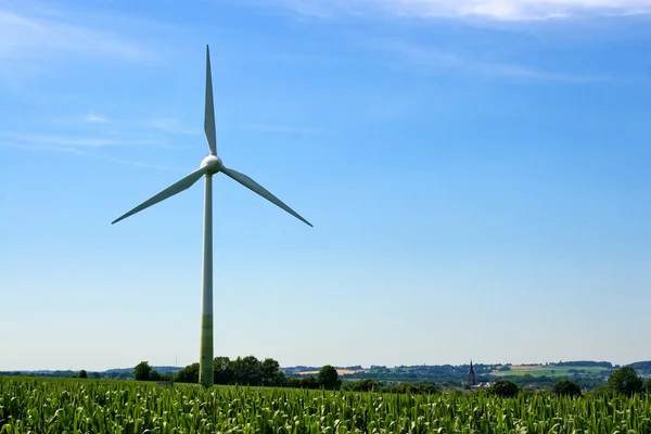 Majs fältet och wind turbine elproduktion — Stockfoto