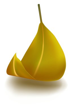 sonbahar yaprak düşüyor, vektör