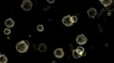 aydınlık arka plan