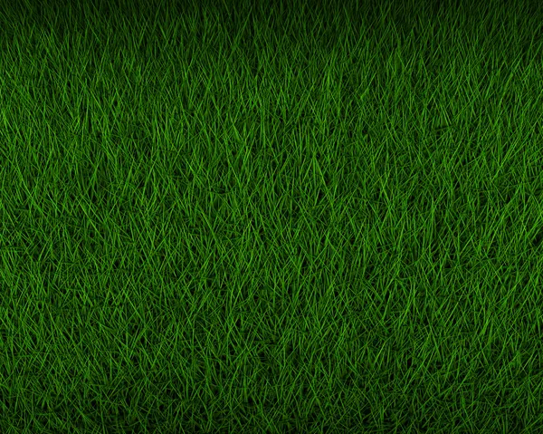 新鲜绿草背景纹理 — 图库照片