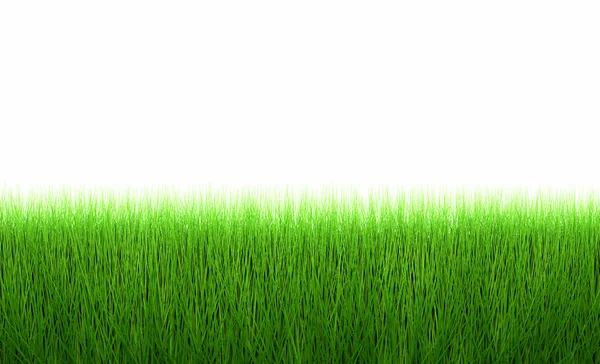 Linha de grama verde fresco isolado no branco — Fotografia de Stock