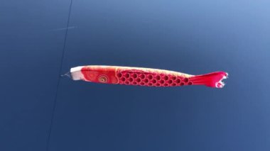Balık uçurtması Koinobori Cenevre Gölü üzerinde gökyüzünde uçuyor