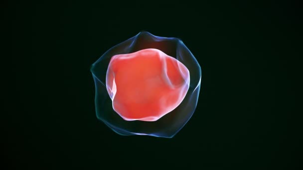具有表面位移效应的三维添加剂透明形状 — 图库视频影像