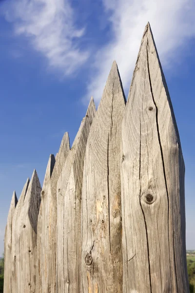 Doğal ahşap zemin.