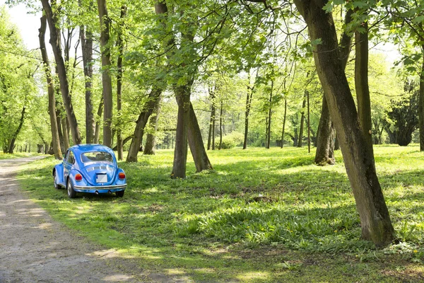 स्प्रिंग पार्कमध्ये ब्लू कार . — स्टॉक फोटो, इमेज