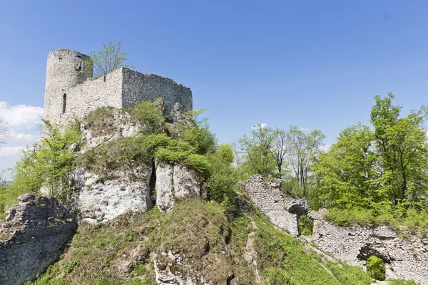 폴란드에 있는 고딕 바위 성곽. — 스톡 사진